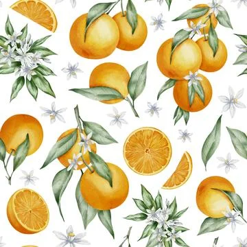 Seamless Pattern with Orange Fruit Branches, green leaves and flowers. Hand Stock Illustration