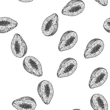 Seamless pattern orange papaya fruit sketch hand drawn Stock Illustration