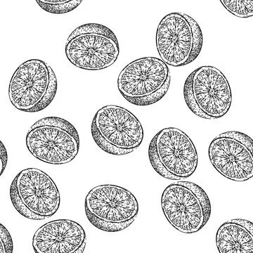 Seamless pattern orange slice sketch hand drawn illustration Illustrazione stock