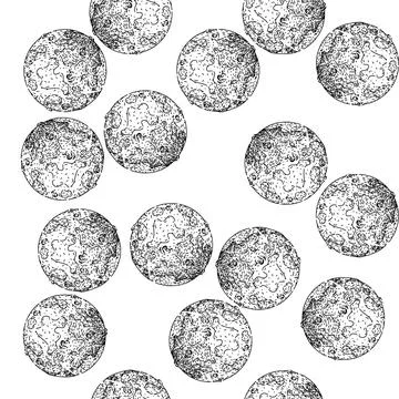 Seamless pattern orbit moon sketch hand drawn Stock Illustration