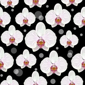 Seamless pattern with orchid flowers Stock Illustration