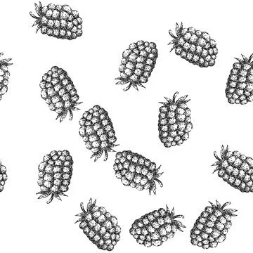 Seamless pattern organic blackberry sketch hand drawn Stock Illustration