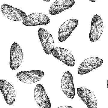 Seamless pattern organic brazil nut sketch hand drawn Stock Illustration