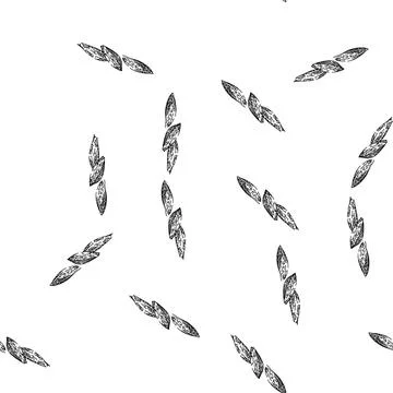 Seamless pattern organic cumin sketch hand drawn Illustrazione stock