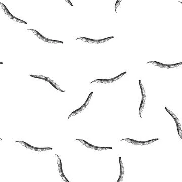 Seamless pattern organic geen beans sketch hand drawn イラスト素材