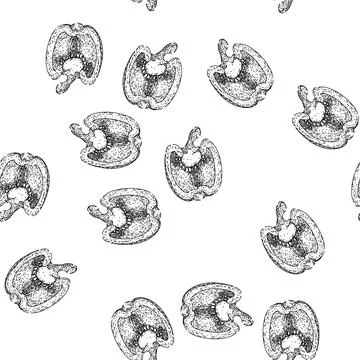 Seamless pattern organic pepper spice sketch hand drawn イラスト素材
