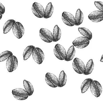 Seamless pattern organic pistachio nut sketch hand drawn Stock Illustration