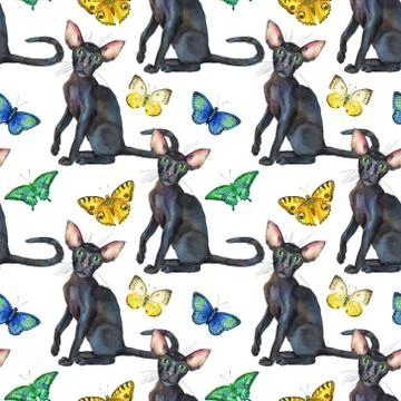 Seamless pattern of oriental black cats. Painting animal illustration Иллюстрация
