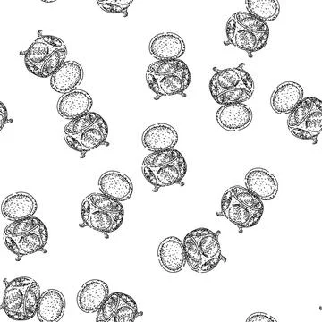 Seamless pattern Ornate open jewelry casket hand drawing illustration Stock Illustration