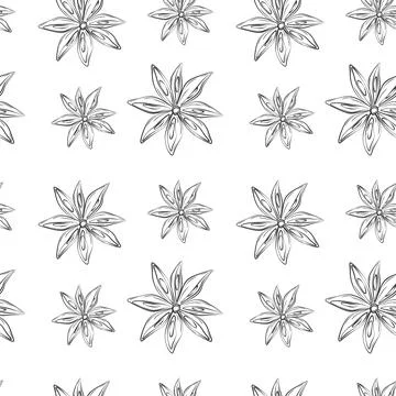 Seamless pattern of outline drawing of an anise star. Spicy spice for coffee or イラスト素材