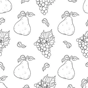 Seamless pattern with outline fruits pear and bunch grapes on white backgro.. Stock Illustration