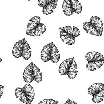 Seamless pattern outline monstera leaf sketch hand drawn 库存插图