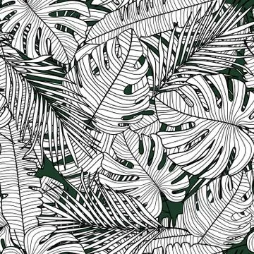 Seamless pattern with outline monstera line leaves. Tropical pattern, botanic 스톡 일러스트