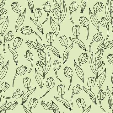 Seamless pattern outline tulips spring flower on green background. Botanica.. Stock Illustration