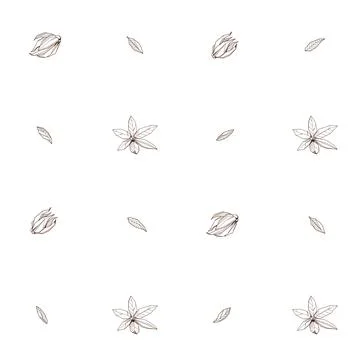 Seamless pattern with Outlined hand drawind geometrical blossoming flower. Ylang Stock Illustration