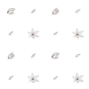 Seamless pattern with Outlined hand drawind geometrical blossoming flower. Ylang Stock Illustration