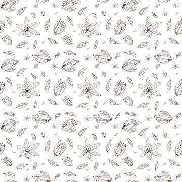 Seamless pattern with Outlined hand drawind geometrical blossoming flower. Ylang Stock Illustration