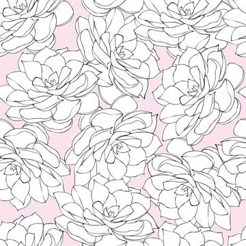 Seamless pattern with outlined succulent flowers on pink background Illustrazione stock