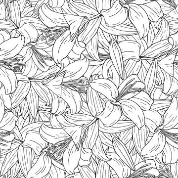 Seamless pattern with outlines lilies. Stock Illustration
