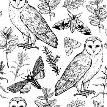 Seamless pattern with owls and moths. Magic forest print. Monochrome vector.. Stock Illustration