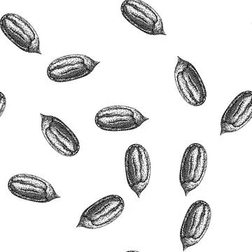 Seamless pattern pacana pecan nut sketch hand drawn Stock Illustration