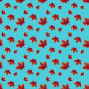 Seamless pattern with painted maple leaves 스톡 일러스트