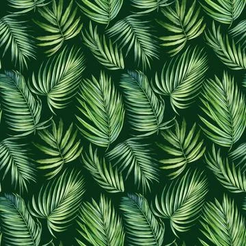 Seamless pattern Palm coconut leaves, watercolor painting. Jungle leaf, Tropical Stock Illustration