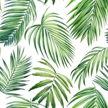 Seamless pattern Palm coconut leaves, watercolor painting. Jungle leaf, Tropical Stock Illustration