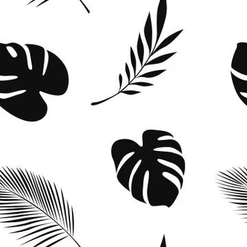 Seamless pattern palm leaf on white background Illustrazione stock