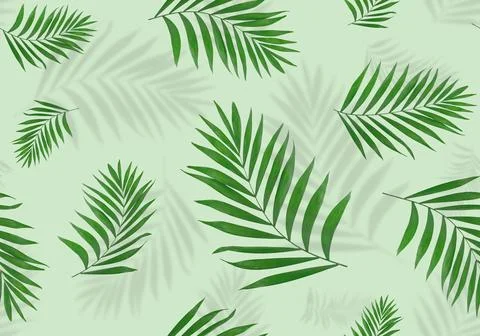 Seamless pattern of palm leaves with shadows isolated on green background. Stock Photos