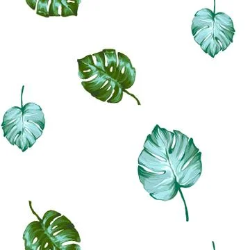 Seamless pattern from Palm monstera different kind leaves isolated on a white Stock Illustration
