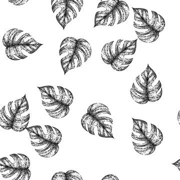 Seamless pattern palm monstera leaf sketch hand drawn Stock Illustration