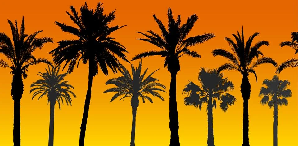 Seamless pattern of palm trees silhouettes at sunrise, vector illustration Illustrazione stock