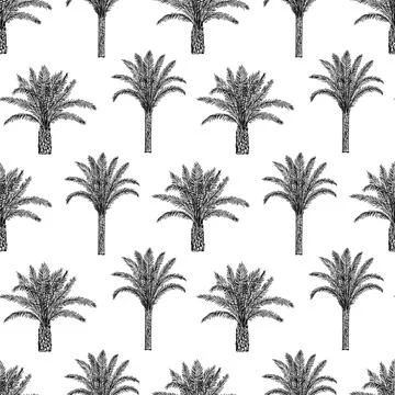 Seamless pattern with palm trees trees and leaves. Toile de Jouy retro engr.. 스톡 사진