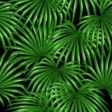 Seamless pattern with palms leaves. Decorative image tropical leaf of palm tree Stock Illustration