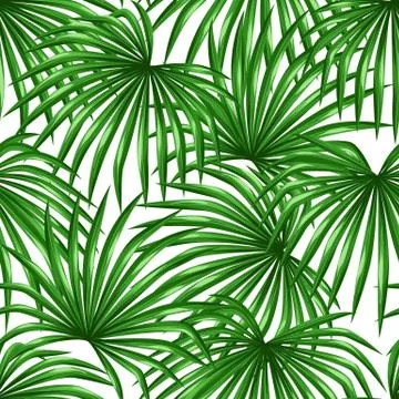 Seamless pattern with palms leaves. Decorative image tropical leaf of palm tree Stock Illustration