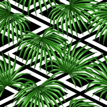 Seamless pattern with palms leaves. Decorative image tropical leaf of palm tree イラスト素材