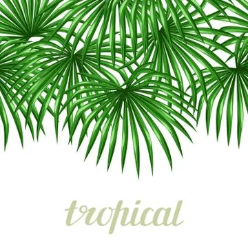 Seamless pattern with palms leaves. Decorative image tropical leaf of palm tree Stock Illustration