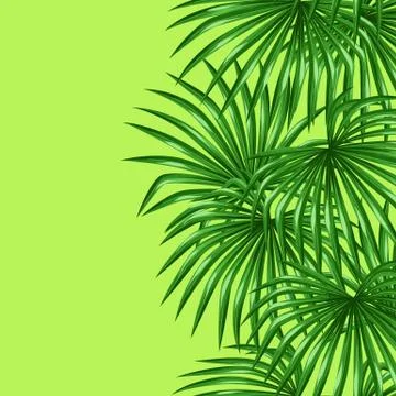Seamless pattern with palms leaves. Decorative image tropical leaf of palm tree Stock Illustration
