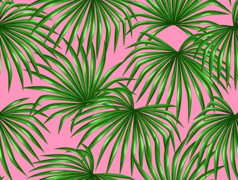Seamless pattern with palms leaves. Decorative image tropical leaf of palm tree イラスト素材