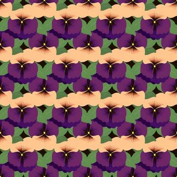 Seamless pattern with pansies on a dark background Stock Illustration