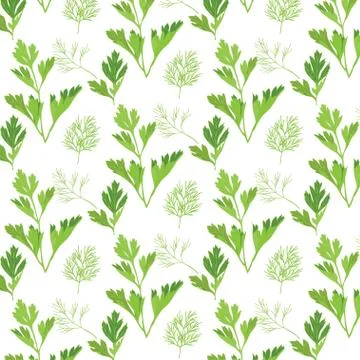 Seamless pattern with parsley and dill Illustrazione stock
