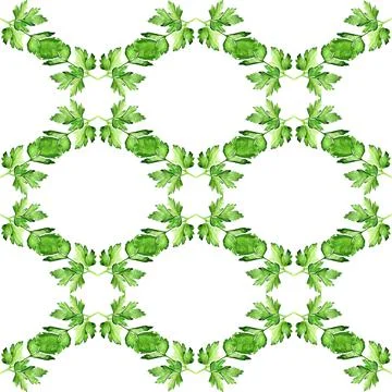 Seamless pattern with  parsley Stock Illustration