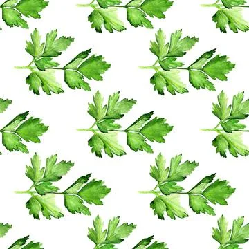 Seamless pattern with  parsley Stock Illustration