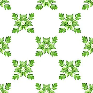 Seamless pattern with  parsley Stock Illustration