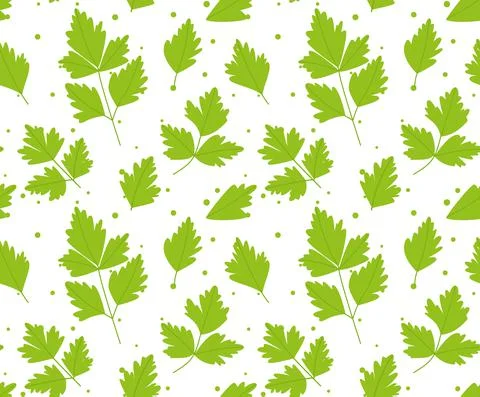 Seamless pattern with parsley leaves. on white background. vector illustratio 스톡 일러스트