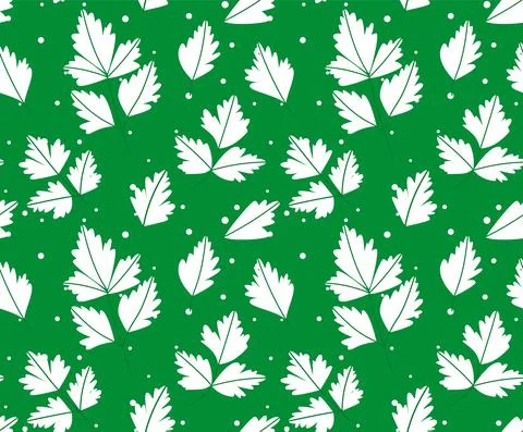 Seamless pattern with parsley leaves. on white background. vector illustratio Stock Illustration