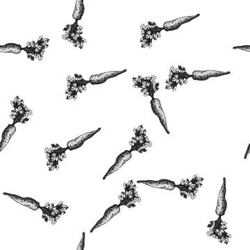 Seamless pattern parsnip root natural sketch hand drawn Stock Illustration