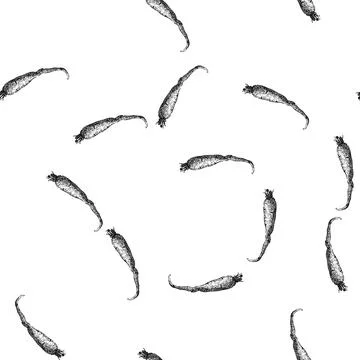 Seamless pattern parsnip root nutrition sketch hand drawn Stock Illustration
