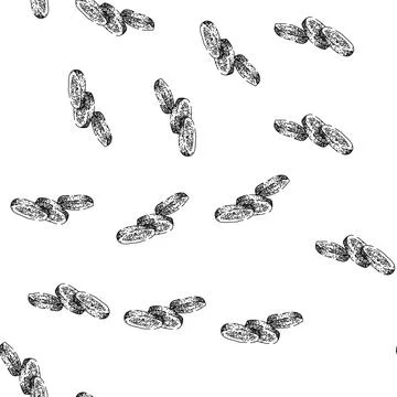 Seamless pattern parsnip root raw sketch hand drawn Stock Illustration